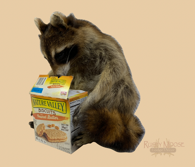 Taxidermy