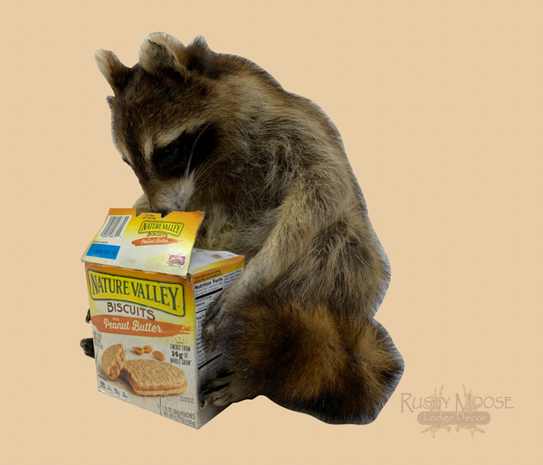 Snackin' Raccoon - Rusty Moose Marketplace
