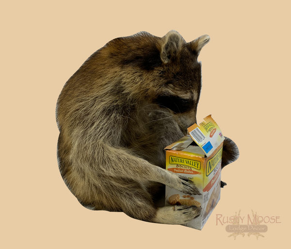 Snackin' Raccoon - Rusty Moose Marketplace